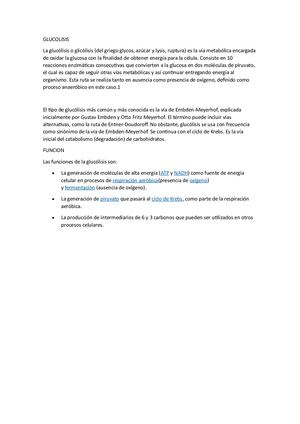 Glucolisis 2
