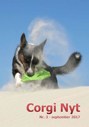 Corgi Nyt 3 2017