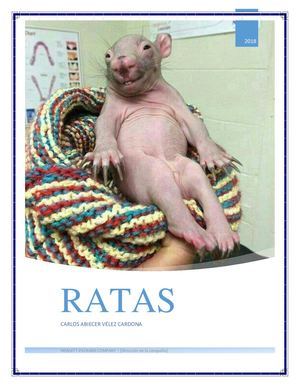 Revista Ratas