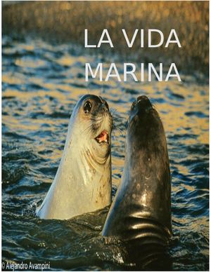 La Vida Marina Revista