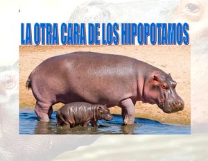 Revista Hipopotamo