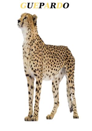 El Guepardo