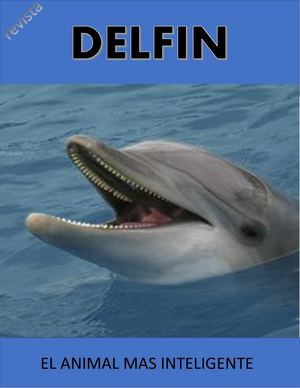 El Delfin