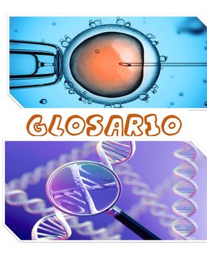 Glosario Tutoria 3