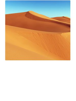 Compilation Des Articles Agron'hommiques