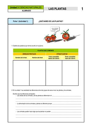 Plantas Pdf