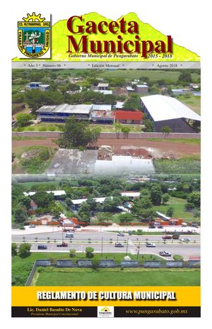 Gaceta Pungarabato 006