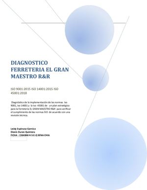 Diagnostico De La Ferreteria El Gran Maestro Ryr