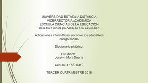 Diccionario Pictorico