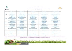 Menu Scolarest Creche Octobre 2018