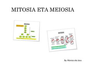 Mitosia Eta Meiosia
