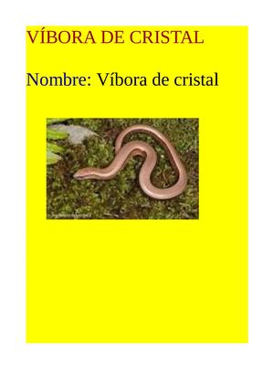 Víbora De Cristal