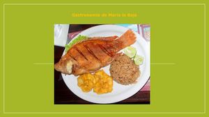Gastronomia En Maria La Baja Bolivar