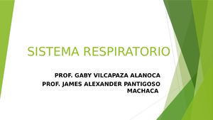Sistema Respiratorio