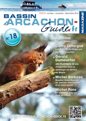 Bassin d'Arcachon guide N18