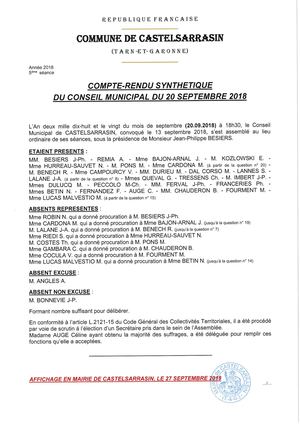 Compte Rendu Synthétique (Cm Du 20 Septembre 2018)