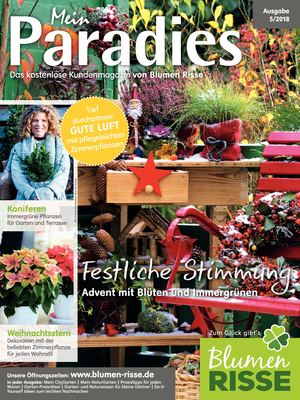 Mein Paradies 5/2018_Risse