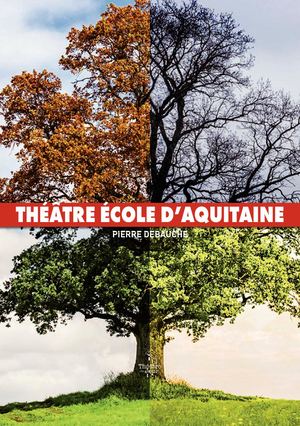 Année 2018 2019 - Théâtre Ecole d'Aquitaine