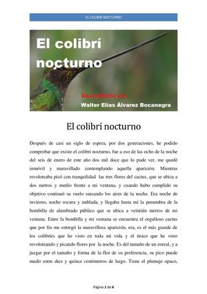 El colibrí nocturno