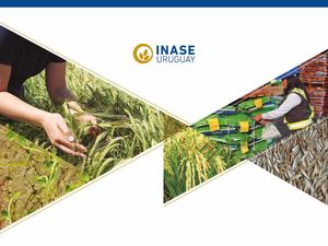 Presentaciones Curso Introducción A La Certificación