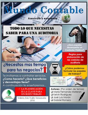 Revista Auditoria Contable