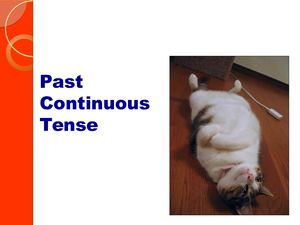 Past Continuous Tense