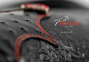 Pioneer catalogue 2018