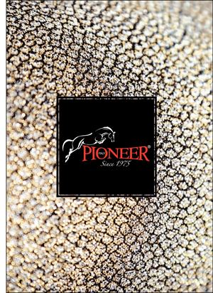 Catalogo Pioneer 2017 Bassa Risoluzione