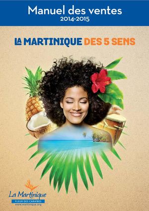 Manuel Des Ventes 2014 2015