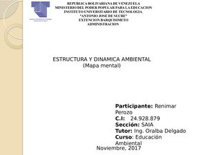 Mapa Mental Estructura Y Dinamica Ambiental