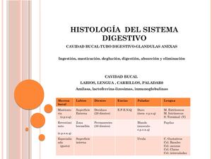 Histología Del Sistema Digestivo