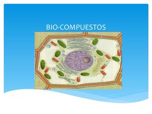 Bio Compuestos