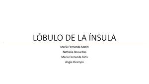 Lóbulo De La Ínsula