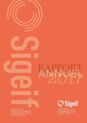 RAPPORT D'ACTIVITÉ 2017