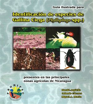 Guia ilustrada para Identificación de especies de Gallina Ciega (Phyllophaga Spp) presentes en las principales zonas agrícolas de Nicaragua