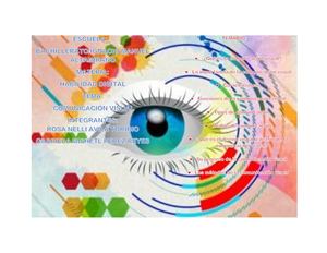 Bima 1° D Tema La Comunicación Visual