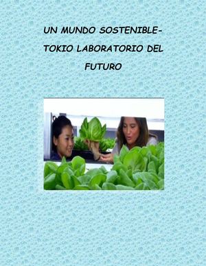 Rae Impacto Tutoría 4