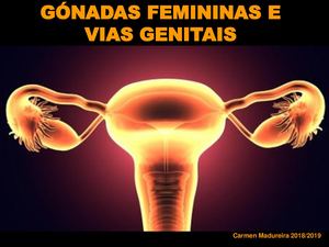 Apresentaçãooogénese 2018