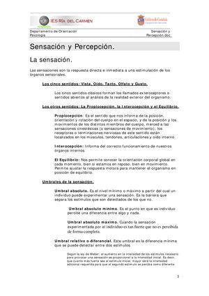 Sensacion Y Percepcion