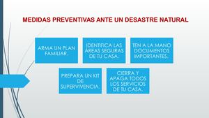 María Esther Bautista Cuevas Medidas De Prevención Ante Un Desastre Natural