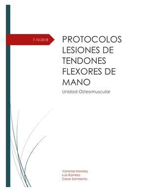 Protocolos