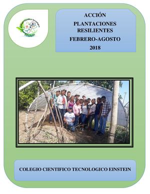 Macrotúnel Agrícola