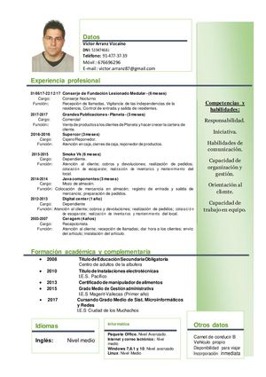Curriculum De Víctor Arranz Vizcaíno