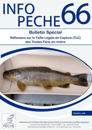 Newsletter Taille Légale de Capture Truite fario
