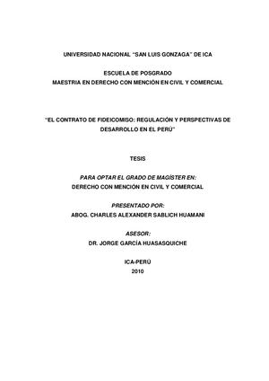 Tesis El Contrato De Fideicomiso Regulacion Y Perspectivas De Desarrollo En El Peru 2010