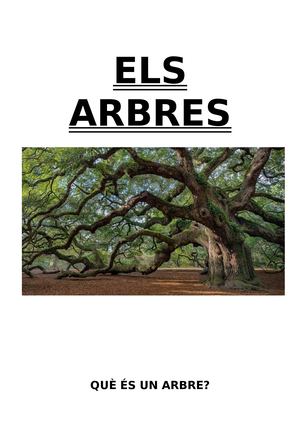 Revista Arbre