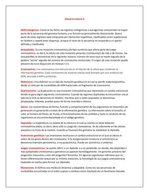 Glosario Tutoría 3