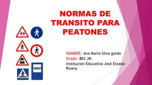 Normas De Transito Para Peatones