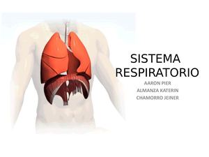 Anatomia, Fisiologia Y Semiologia Respiratoria