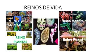 Reinos De Vida